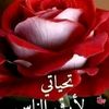 alimahdjuobi