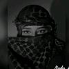 user1293134445600