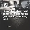 wfn1.vit