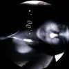 zee61852