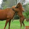 user46622881670121