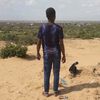 kingi__jacelow_ya