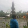 airlanggamuis
