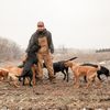 BirchCreekPointingLabradors