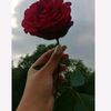 user8773953104324