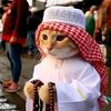 sheikhamiir5
