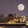 沐沐