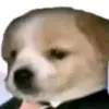 kobietjhet89
