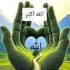 user6777481631179