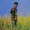 shaif.ali85