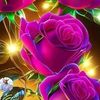 yancis.castilbl