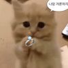 jay_00006767__