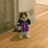 kevinalexanderdel38