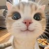 cutecute5198