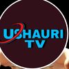 mshauritv2