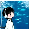 zhang....offi0