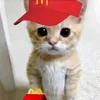 yourgurly10_10