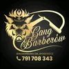 donbarbero00