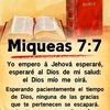 user8136243373453