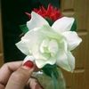 salma.islam0012