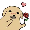 dollyreview3