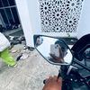 rifanfebrian531