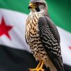 ali.mohammad4500