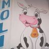 tadeocaudillo660
