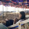 phatthida969