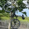amier4241