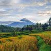 dikysmkn1
