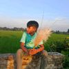 jahidff317