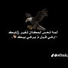 user302092531