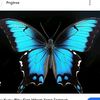 buterfly4815