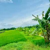 thiennhienyenbinh68