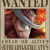 user416954331