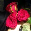 laiba.jameel514