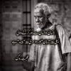 benambadshah1334