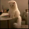it_awr