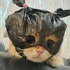 cuttiewinterr2