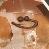 _eatingart_