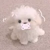 be123cute0