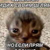 ipamods