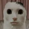 baraapmrwf5