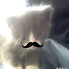 rexsie.samson3