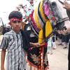 mesam.mallah8