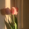 jess_cika.05