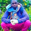 user5046230219918