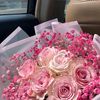user96008526818721