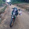 bujang